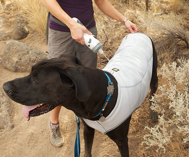 Dog Cooling Vest - coolthings.us
