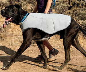 Dog Cooling Vest - coolthings.us