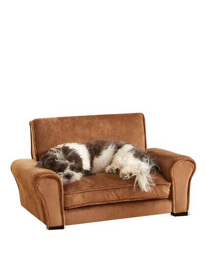 Dog Couch - coolthings.us