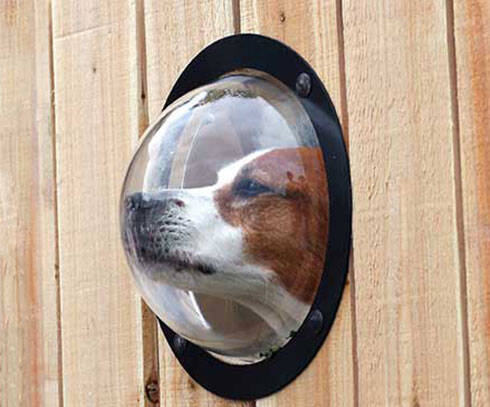Dog Peek Window