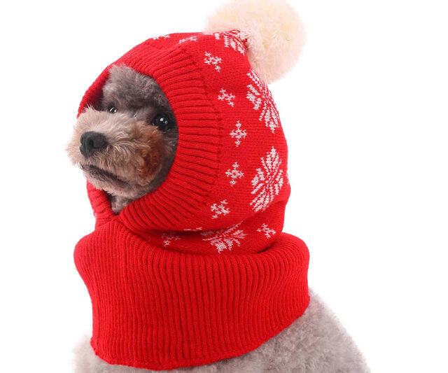 Dog Winter Hat