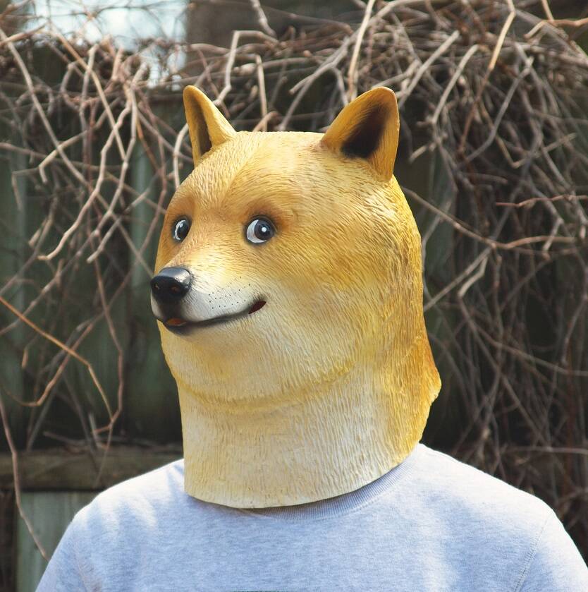 Doge Mask