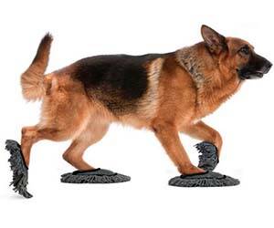 Doggie Floor Dusting Slippers