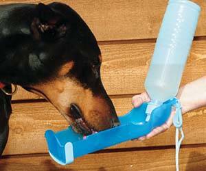 Dog Water Bottle - coolthings.us