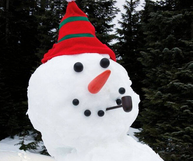 Dress A Snowman Kit