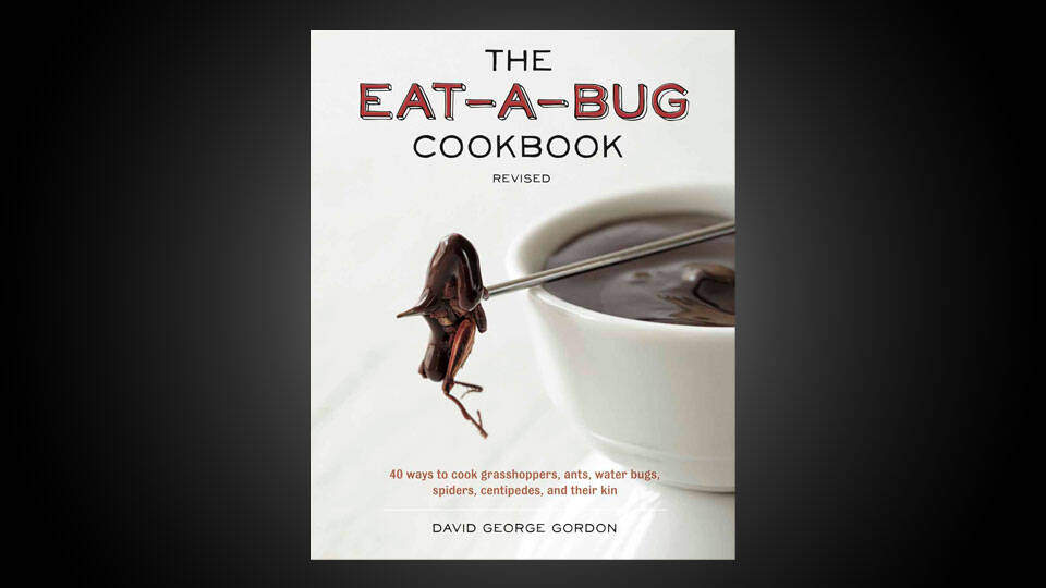 Eat-A-Bug Cookbook - //coolthings.us