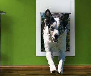 Electronic Doggy Door - coolthings.us