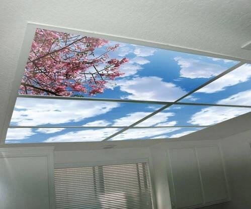 Faux Sky Light Diffusers