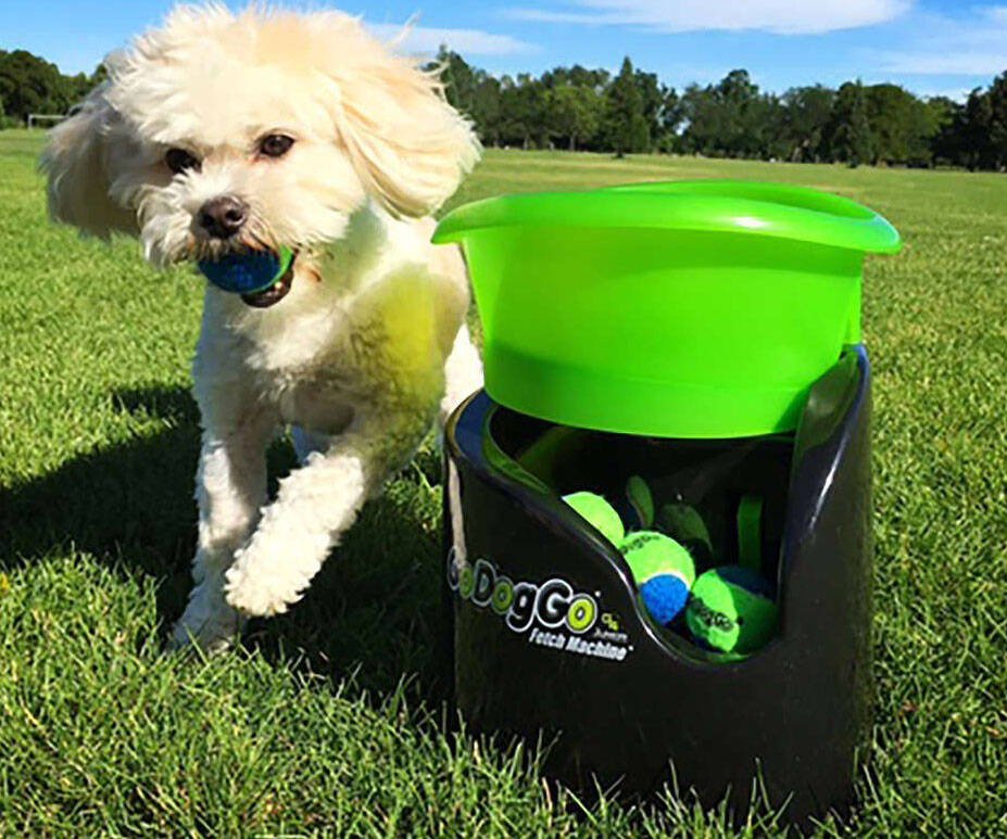 Ball Launching Fetch Machine - coolthings.us