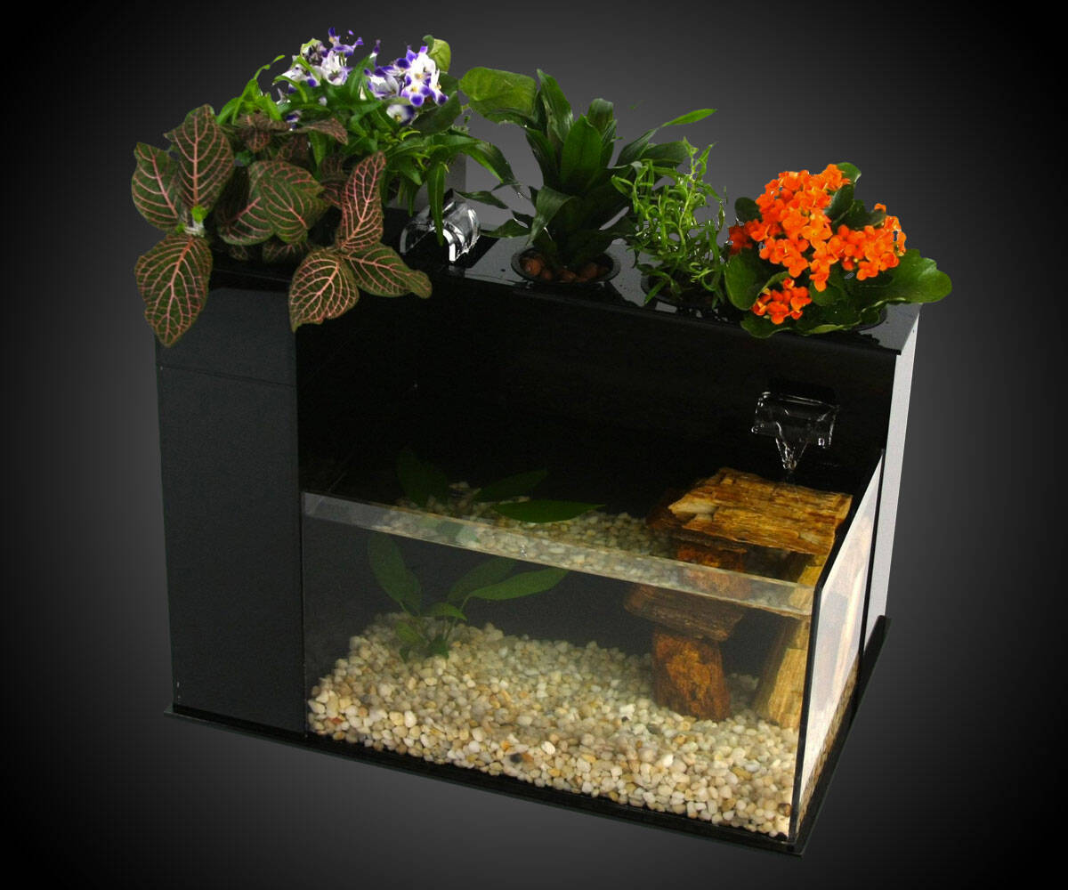 Fin to Flower Aquaponics System
