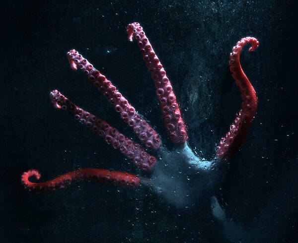 Finger Tentacles - coolthings.us