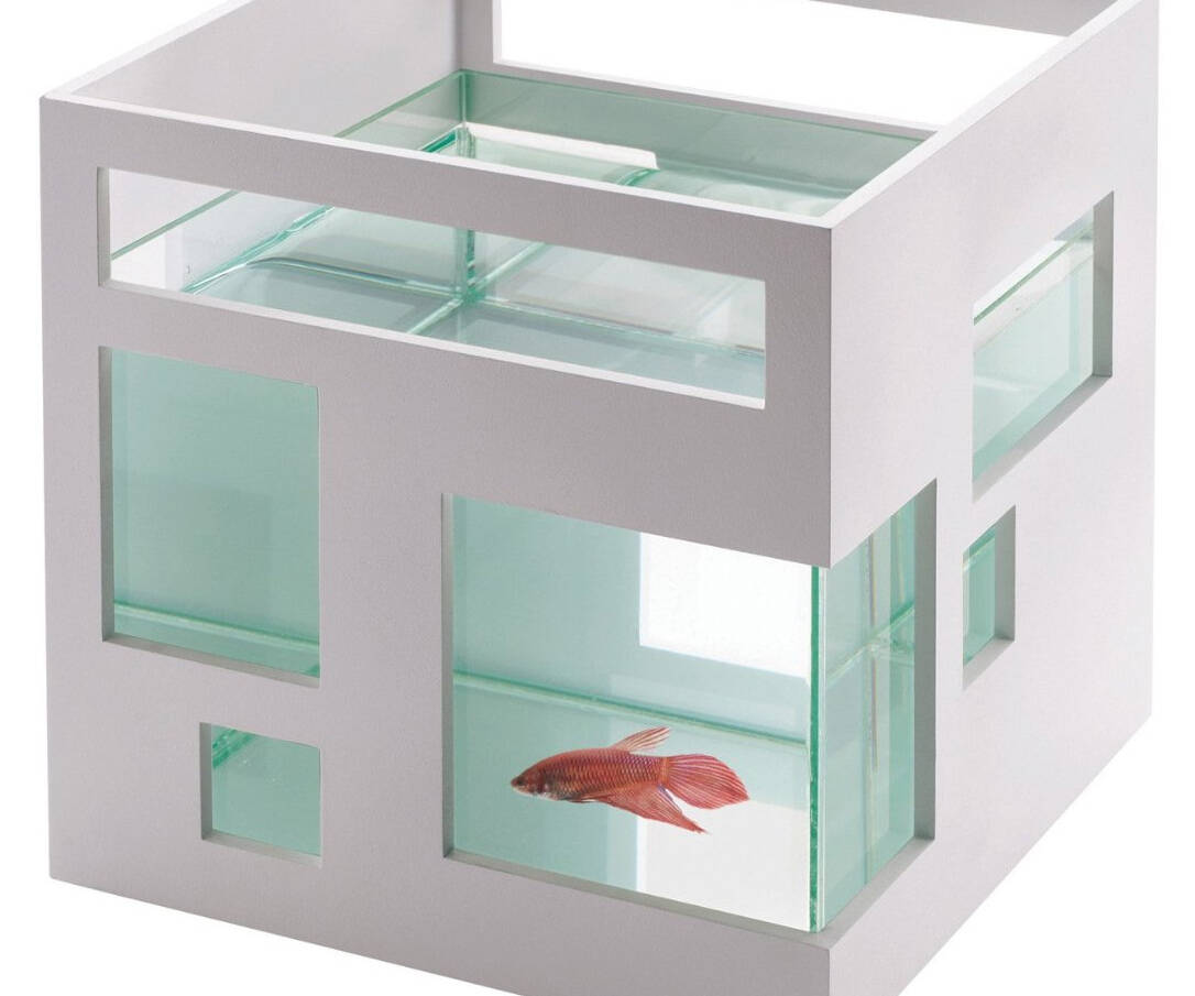 Fish Condo Aquarium