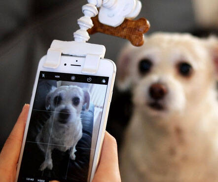 Treat Holder Phone Attachment