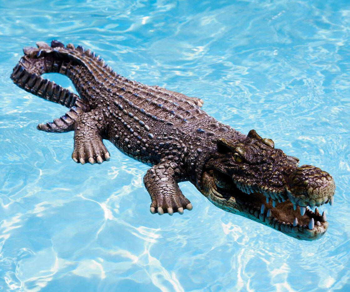 Floating Crocodile Pool & Pond Decoy - //coolthings.us