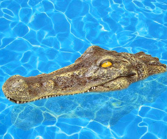 Floating Crocodile Head - //coolthings.us