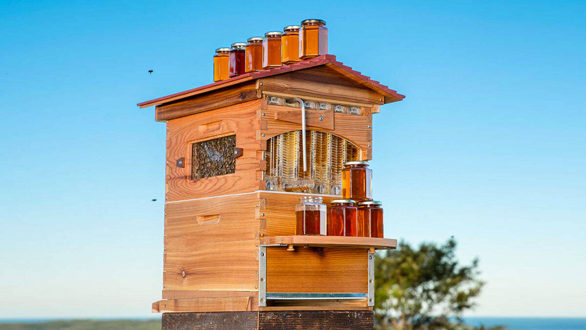 Automatic Honey Collecting Beehive - coolthings.us