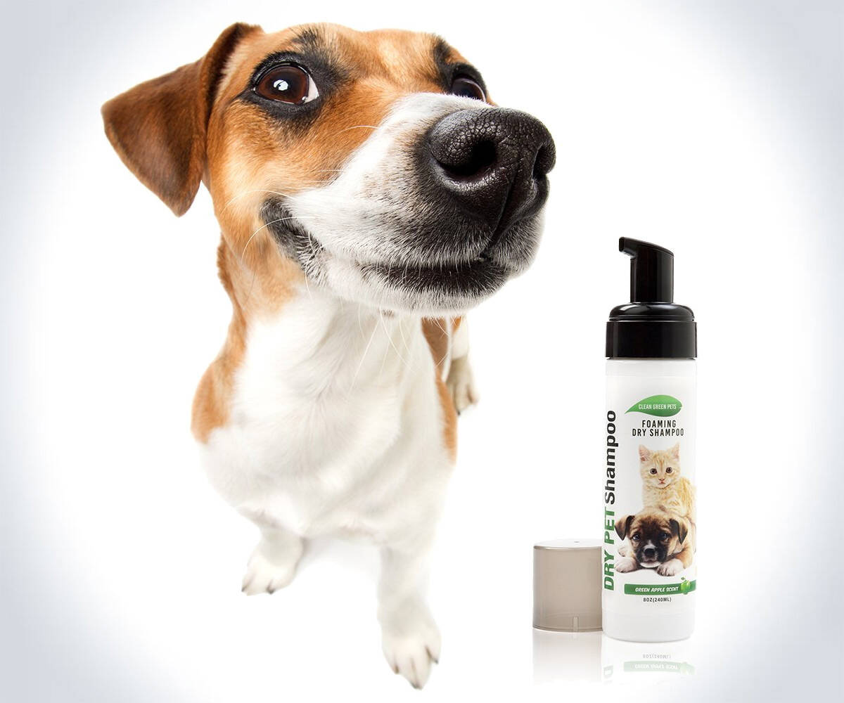 Foaming Mousse Dry Pet Shampoo