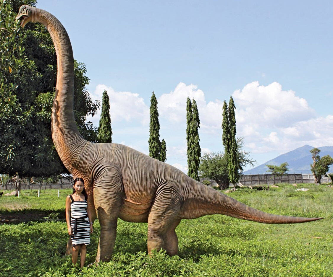 Giant Brachiosaurus Dinosaur Statue - coolthings.us