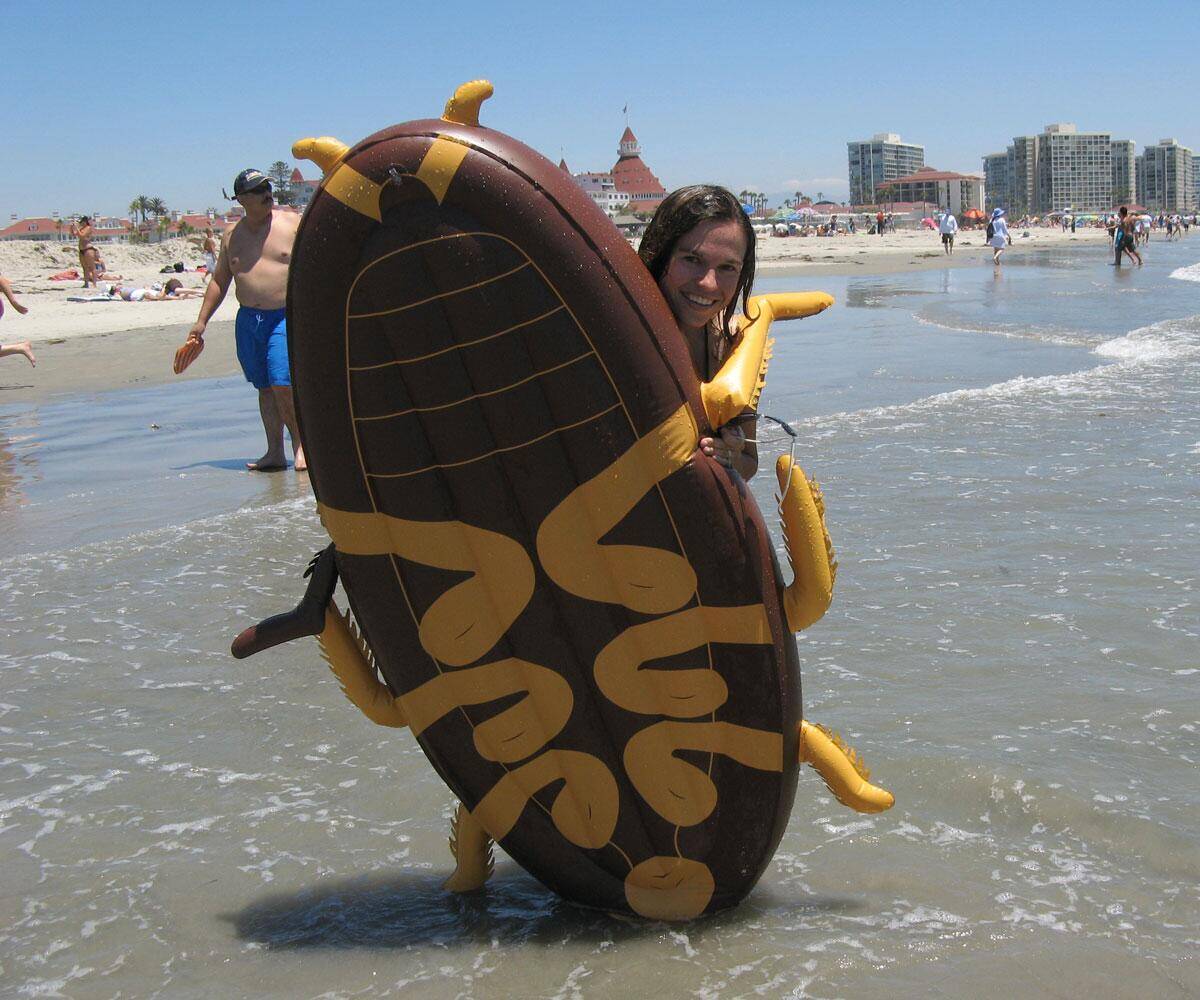 Giant Cockroach Float - coolthings.us