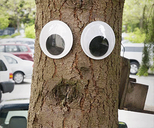 Giant Googly Eyes - //coolthings.us