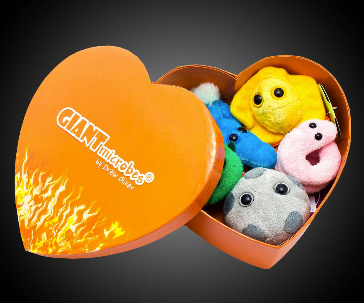 Giant Microbes Heart Burned Gift Box - coolthings.us