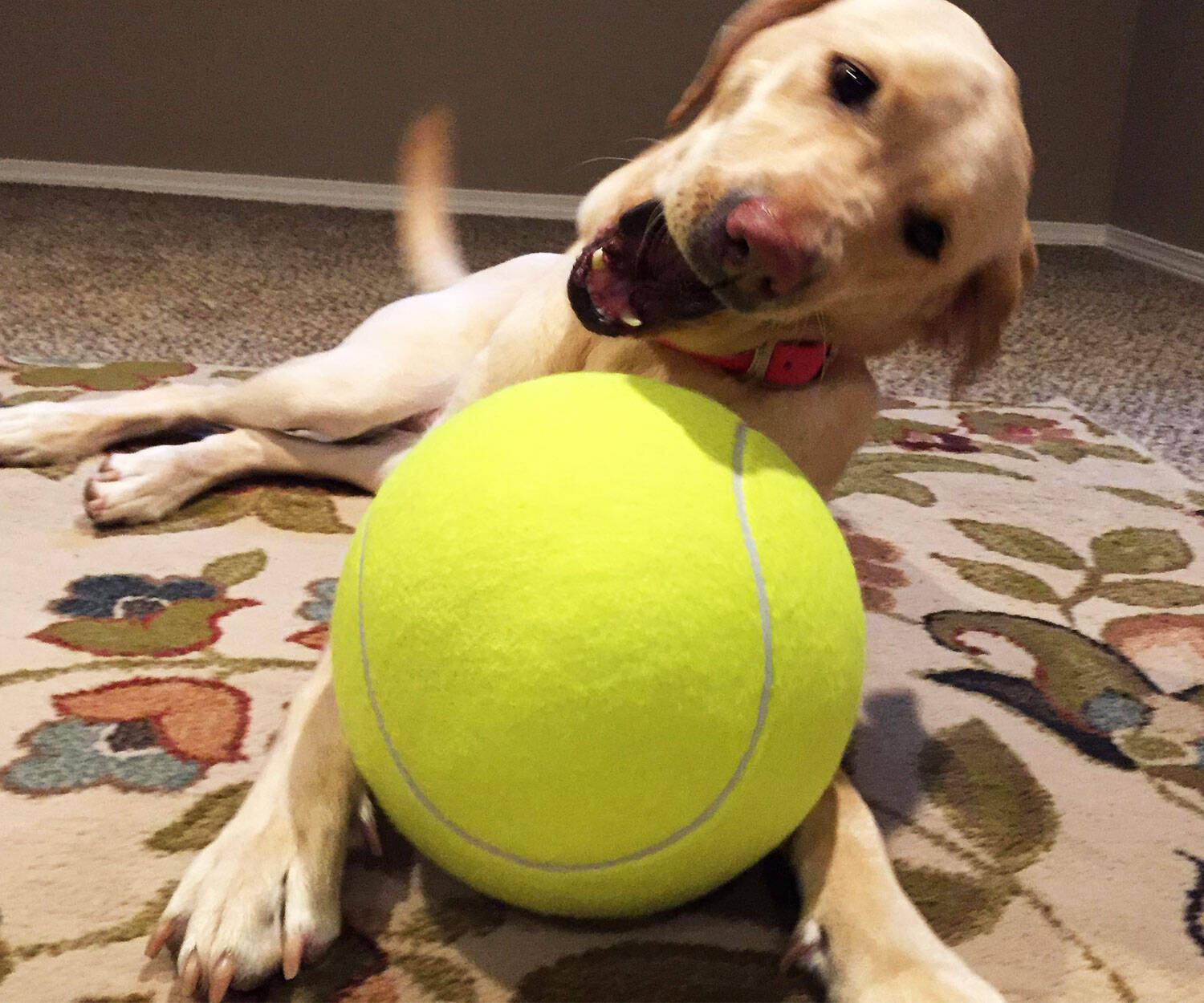 Giant Tennis Ball - //coolthings.us