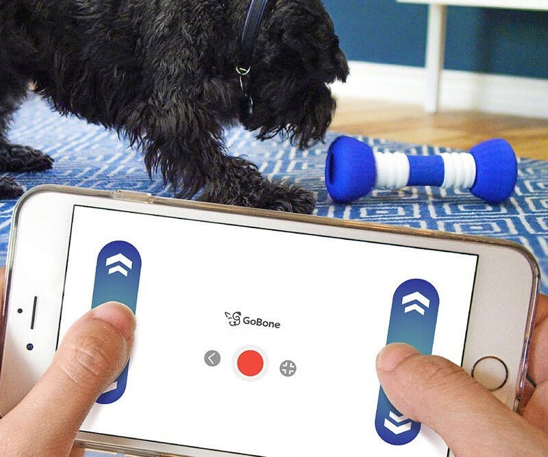 App Controlled Smart Dog Bone Toy - coolthings.us