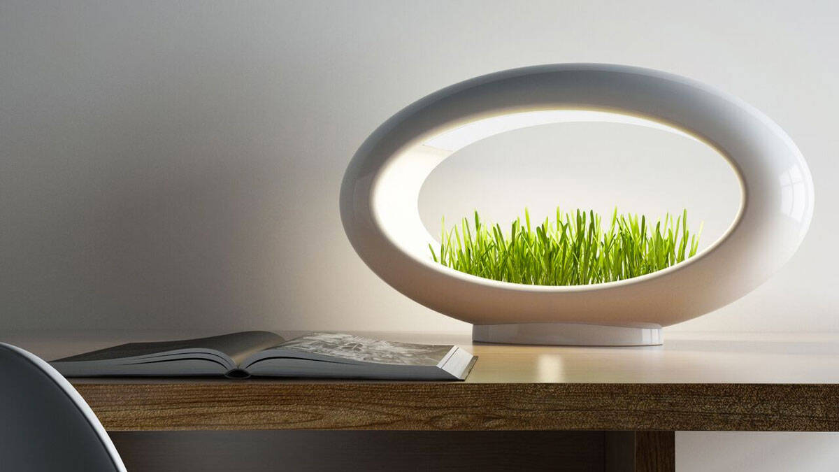 Grasslamp Minimalist Desktop Garden - coolthings.us
