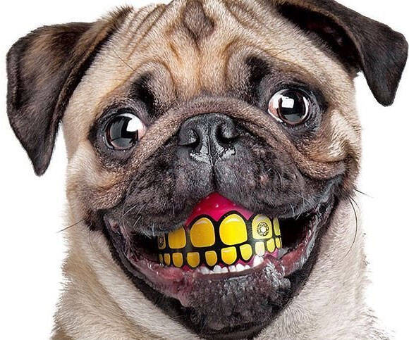 Grinning Pet Balls