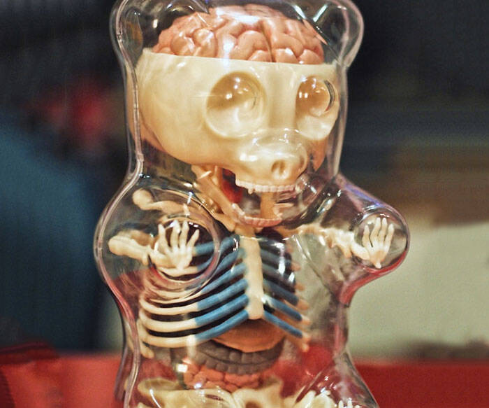 Anatomical Gummi Bears - coolthings.us