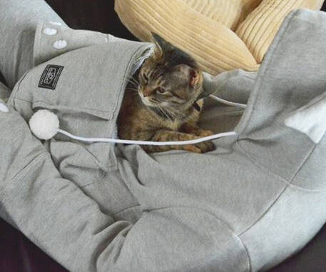 Pet Pouch Hoodie