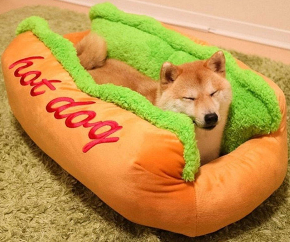 Hot Dog Pet Bed - coolthings.us