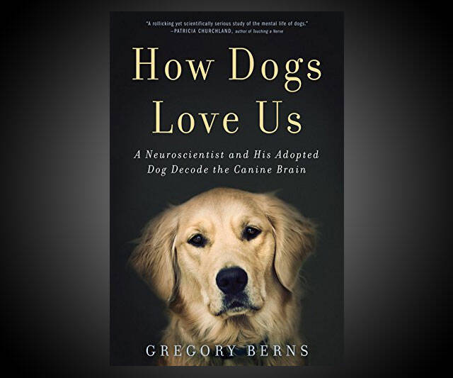 How Dogs Love Us - //coolthings.us