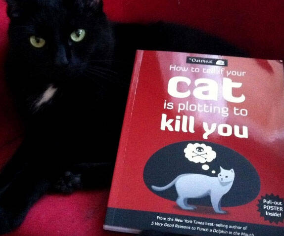 Your Cat Is Plotting To Kill You Book - coolthings.us