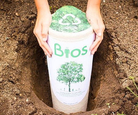 Human Ashes Tree Planter Urn - //coolthings.us