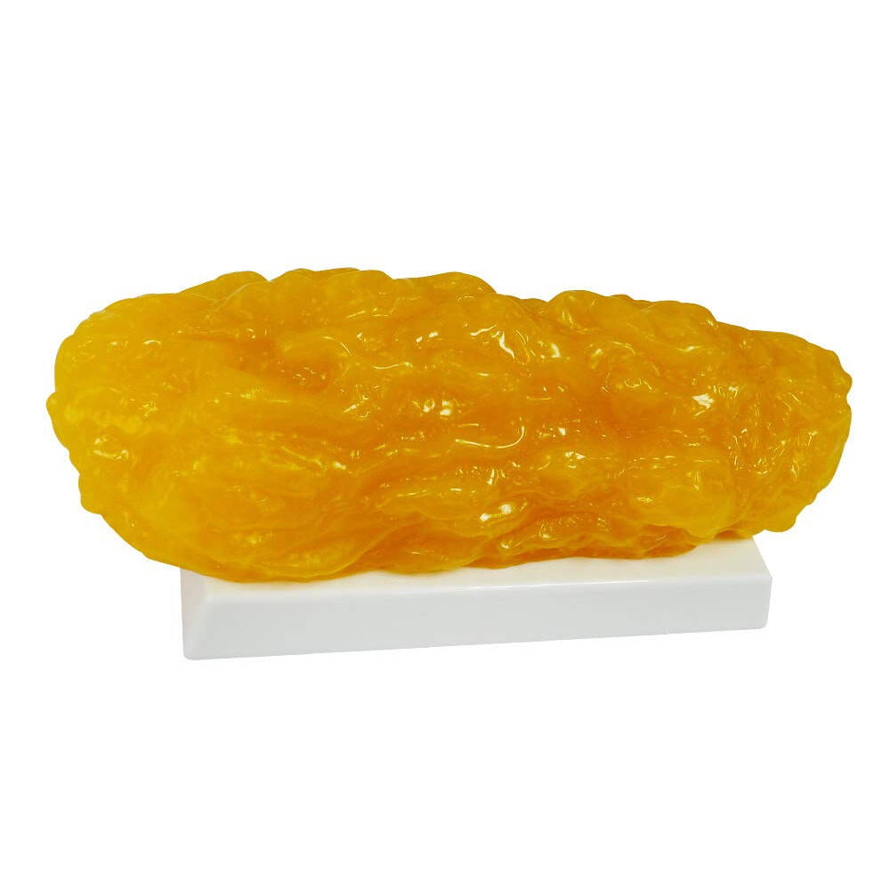 5lbs Human Body Fat Replica - //coolthings.us