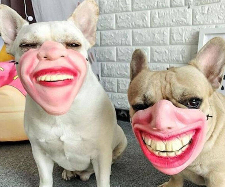 Human Face Dog Masks