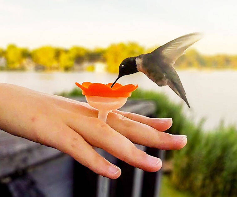 Hummingbird Feeder Ring - //coolthings.us