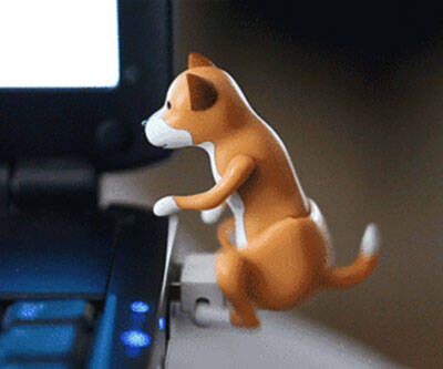 Humping USB Dog - coolthings.us