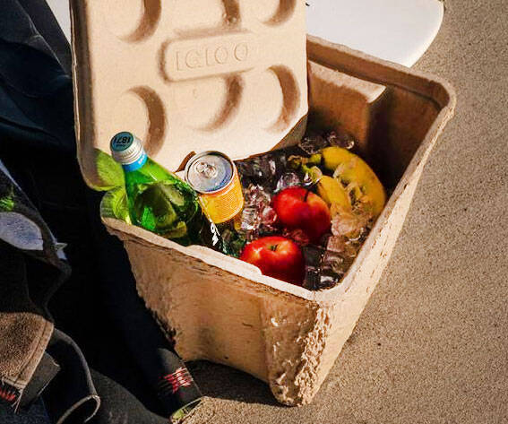 Igloo Compostable Drink Cooler