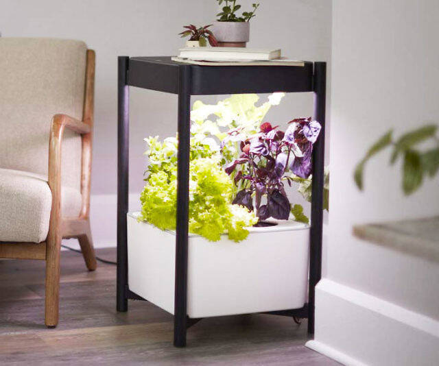 Indoor Hydroponic Garden Side Table