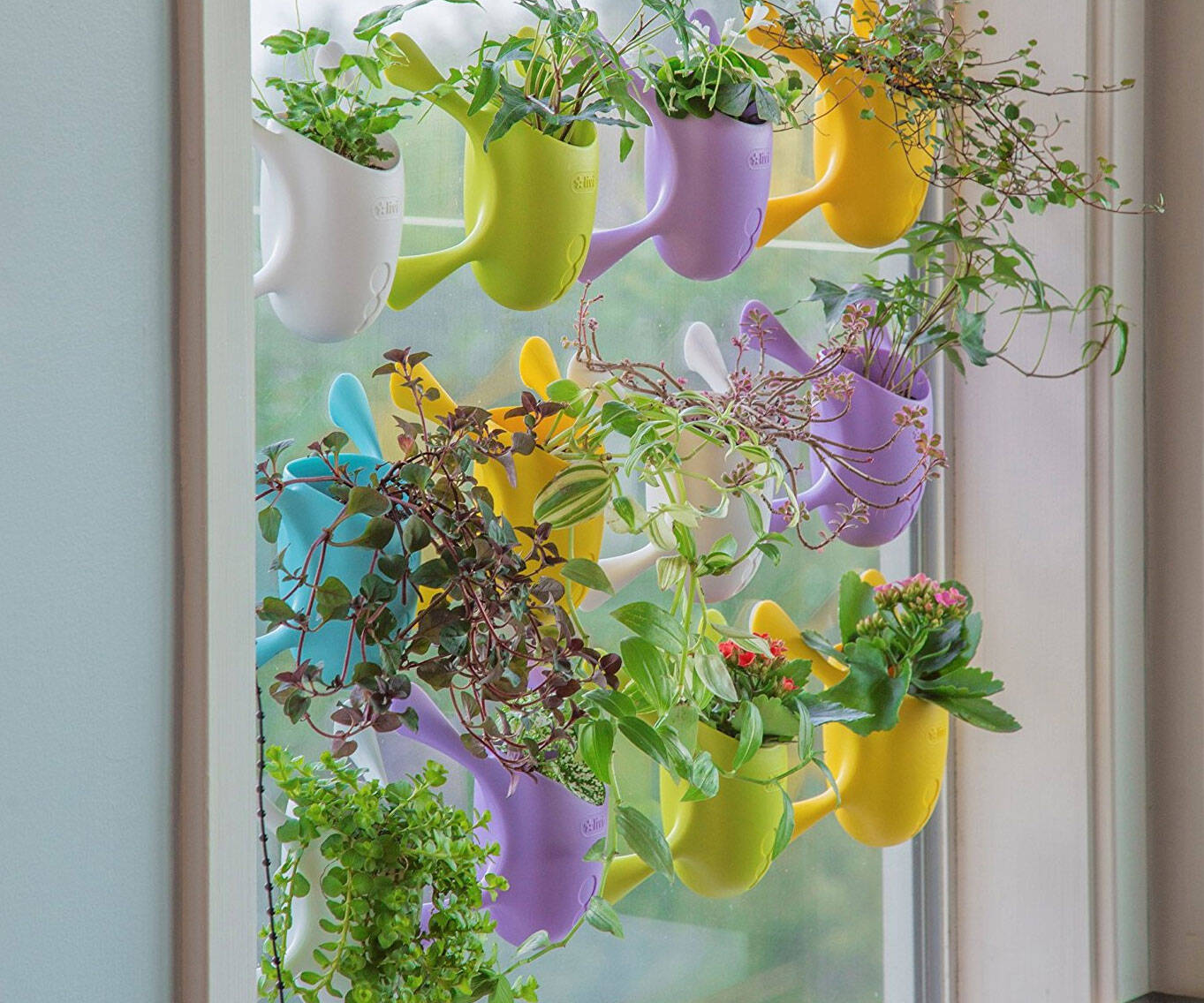 Indoor Suctioned Window/Wall Planter - //coolthings.us
