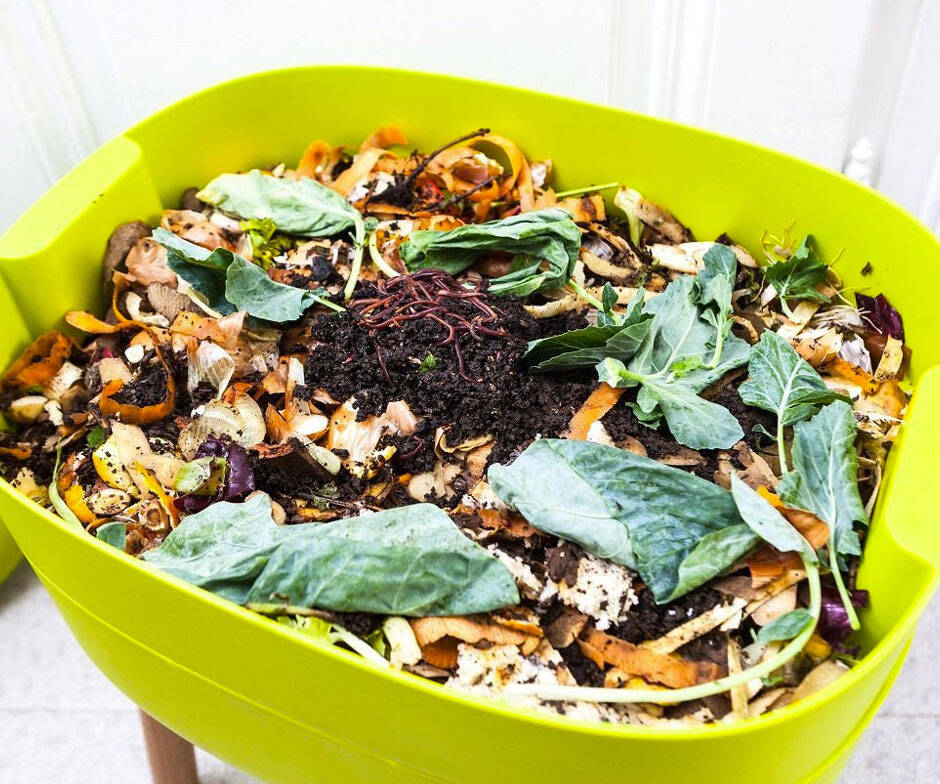 UrbAlive Indoor Worm Farm