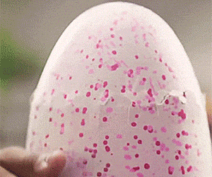 Robotic Hatching Animal Eggs - //coolthings.us