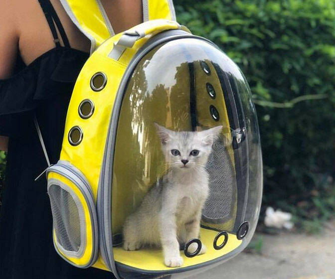 Capsule Pet Travel Backpack