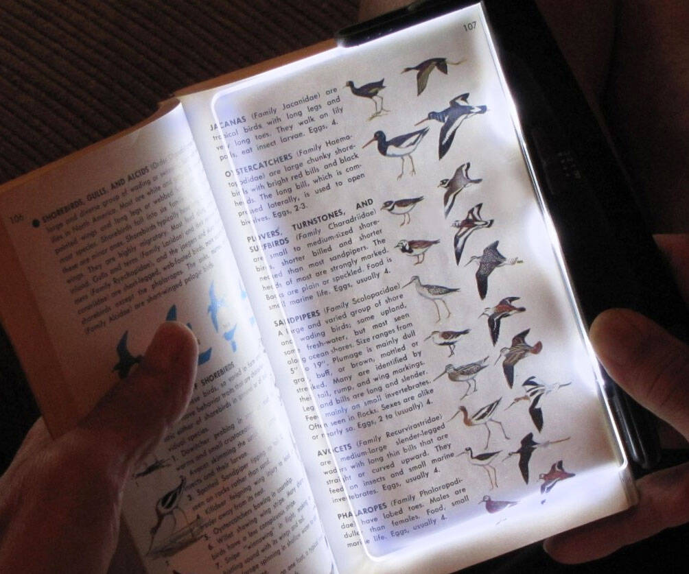 LED Book Light