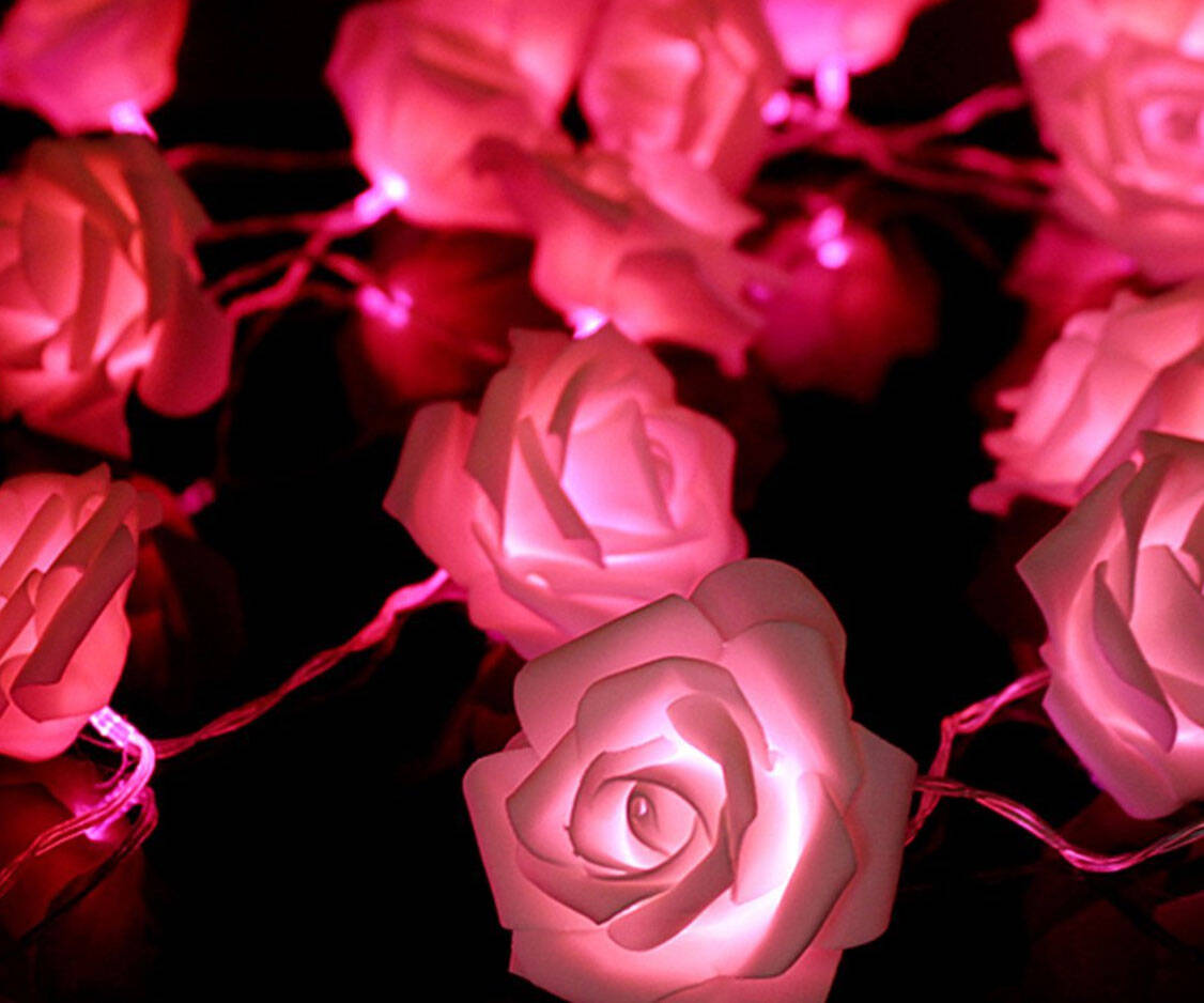 LED Rose String Lights