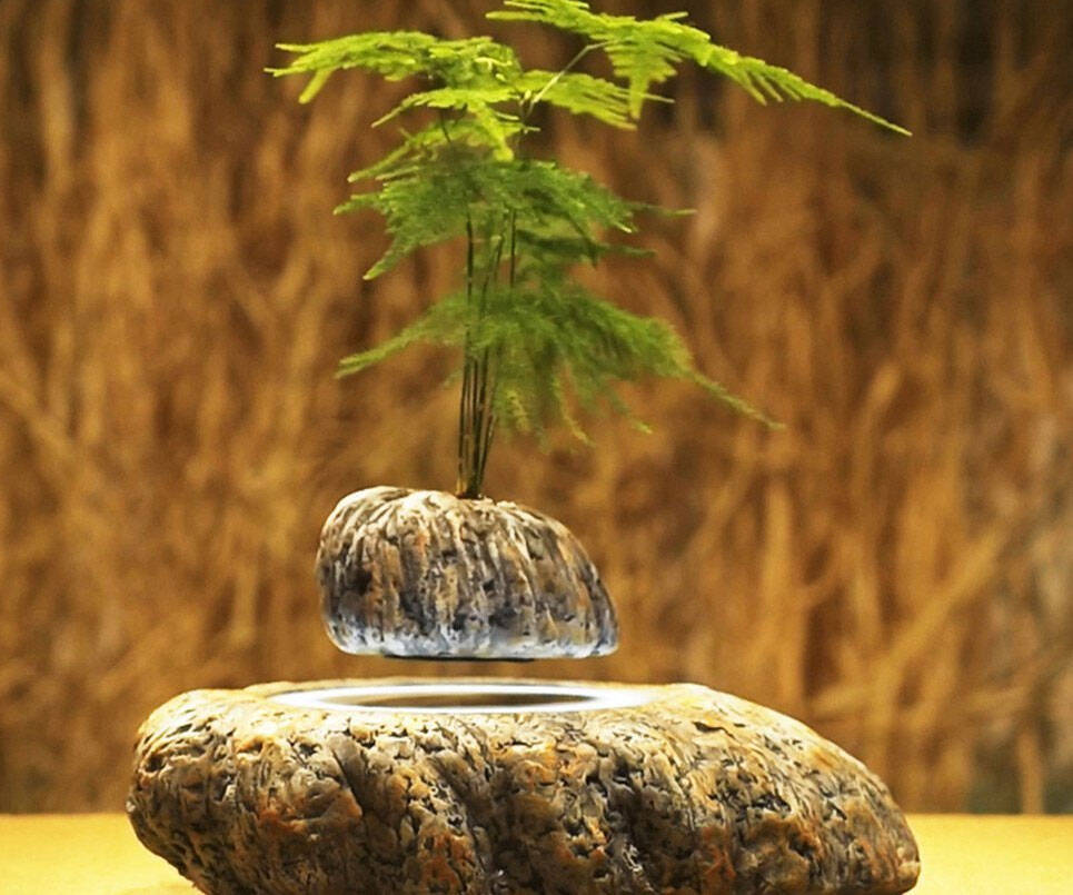 Levitating Flower Pot