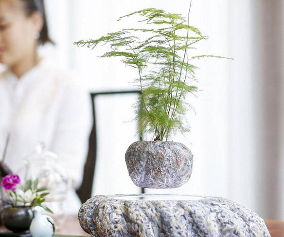 Levitating Bonsai Tree