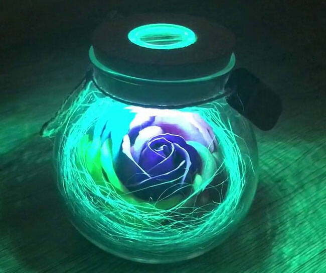 Light Up Color Changing Rose Wish Bottle
